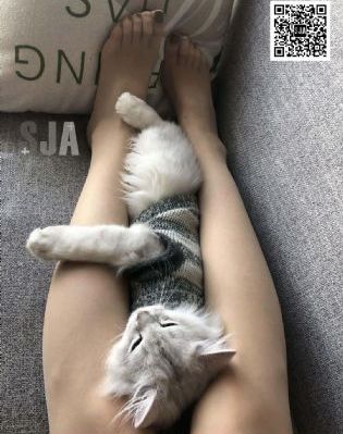 阿索卡
