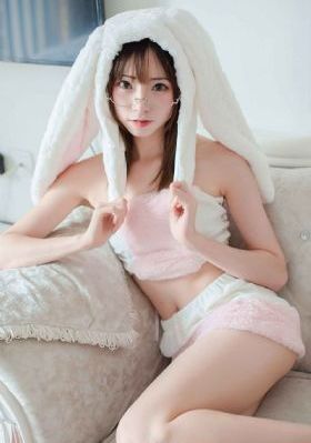 巡回检察组在线观看