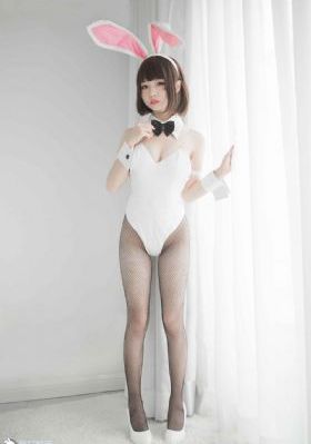 如实陈述