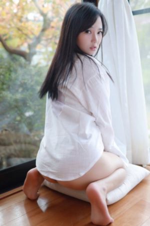 机动奥特曼第二季