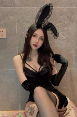 全职猎人全集