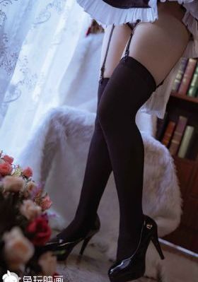 我家有个赵大咪