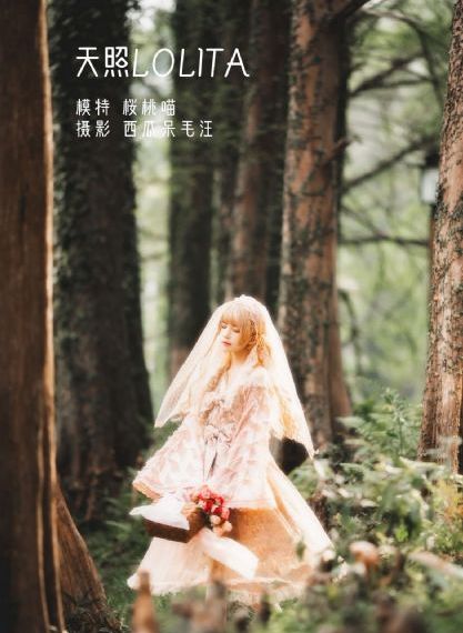 大宅门在线观看免费完整版高清