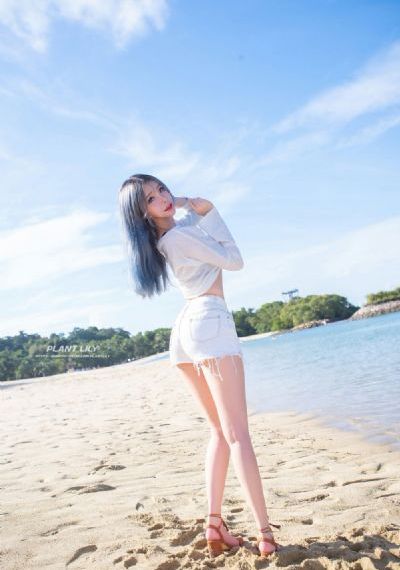 恋爱禁区