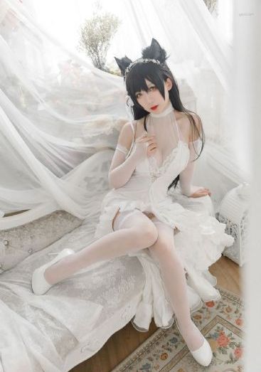 变形金刚下载