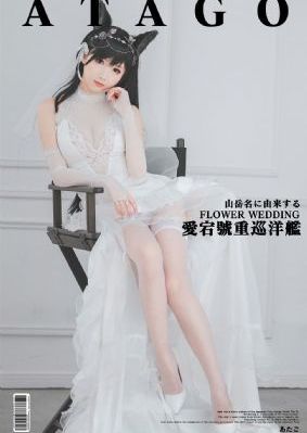 免费在线观看视频高清