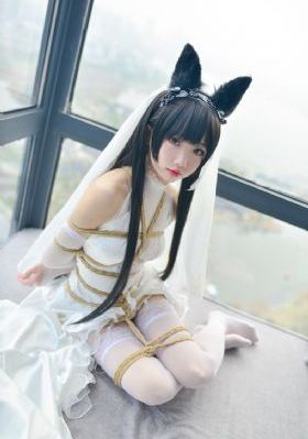 电视剧免费完整版全集在线观看