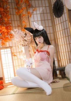完美世界免费在线观