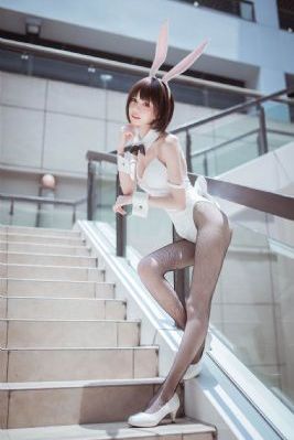 三叶草www在线观看高清