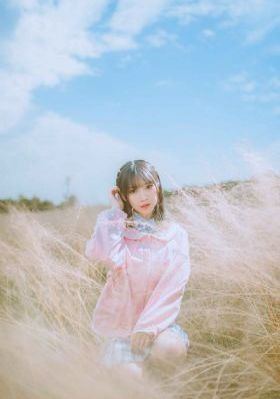 征服电视剧20集免费观看