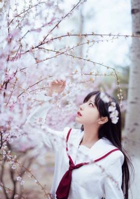 青青河边草电影资源免费观看