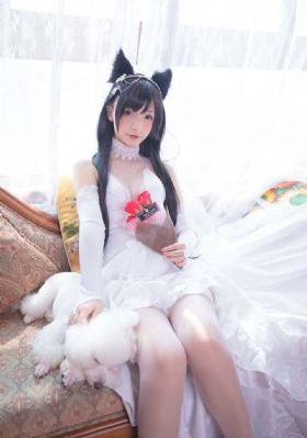 张津瑜和吕知樾三部曲哪里看的
