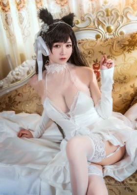 那兔那年那些事